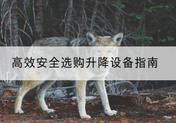 龙山升降货梯厂家推荐-*安全选购升降设备指南